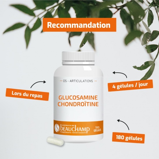 Glucosamine Chondroïtine