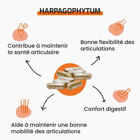Harpagophytum