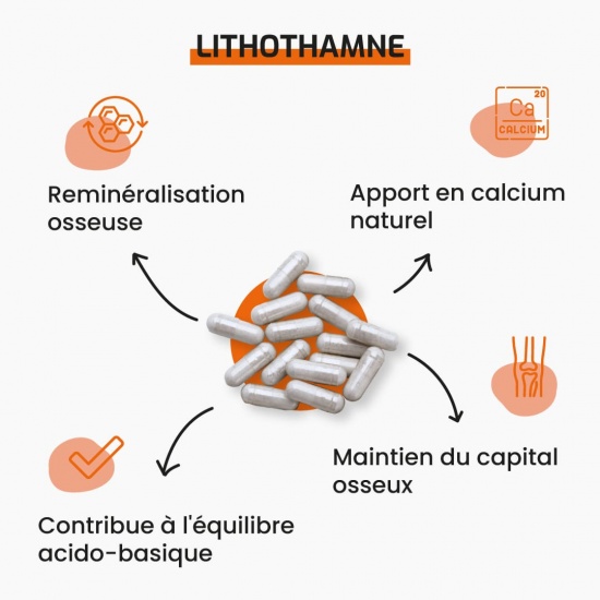 Lithothamne