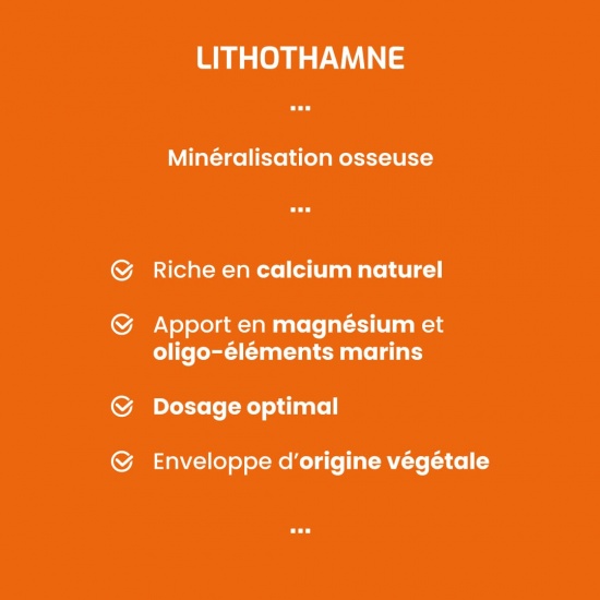 Lithothamne