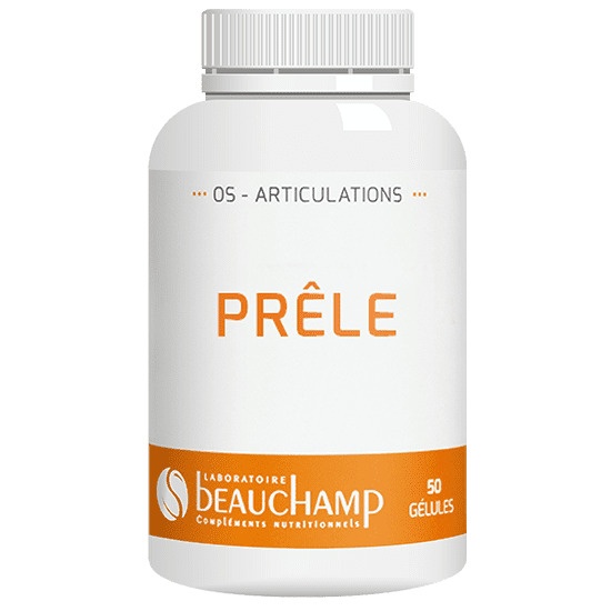 Prêle