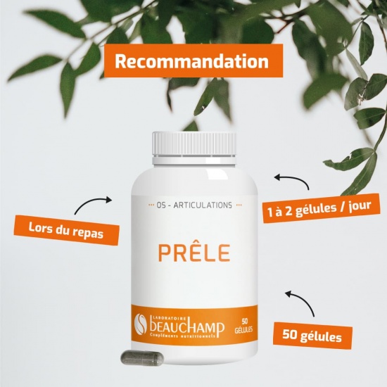 Prêle