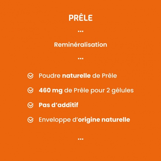 Prêle