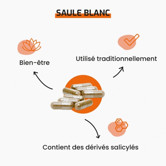 Saule Blanc écorce