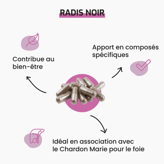 Radis noir