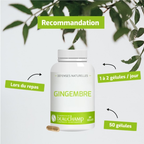 Gingembre