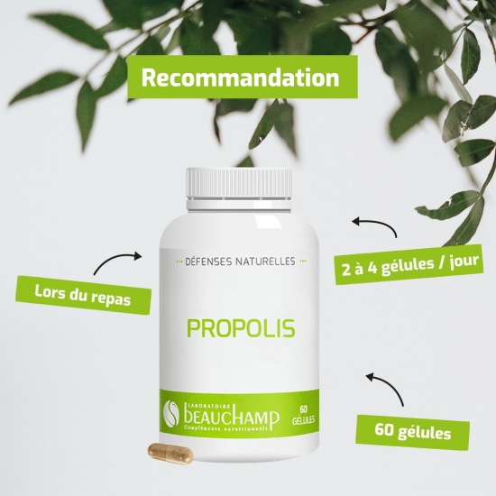 Propolis