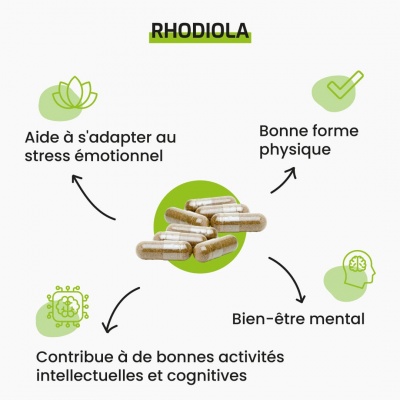 Complément alimentaire Rhodiola