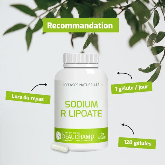 Sodium R lipoate à 400 mg