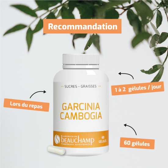 Garcinia cambogia