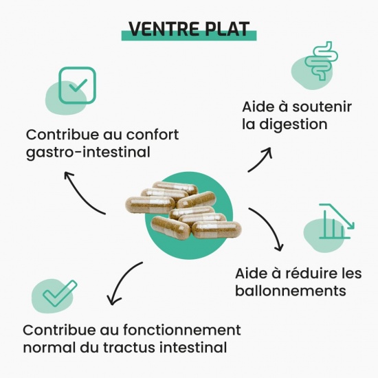 Ventre plat