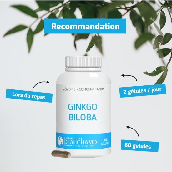 Ginkgo biloba