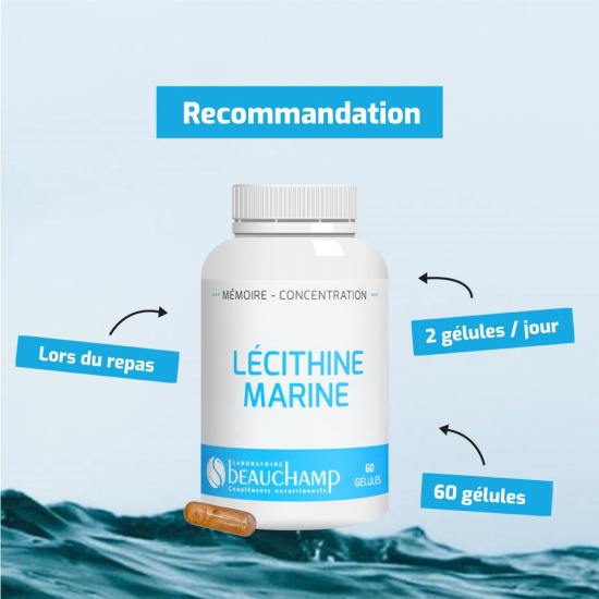 Lécithine marine