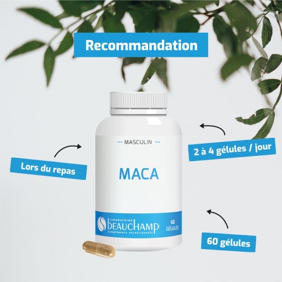 Maca