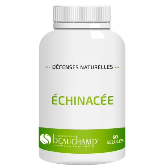 Gélules échinacée