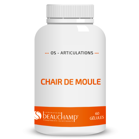 Chair de moule