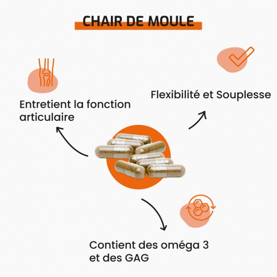 Chair de moule