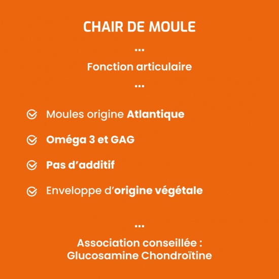 Chair de moule