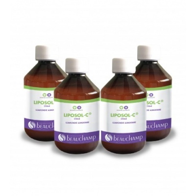 garcinia slim prospect)