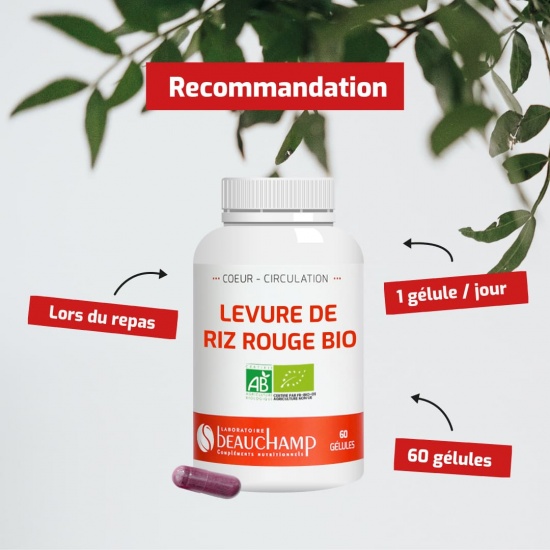 Levure de riz rouge BIO