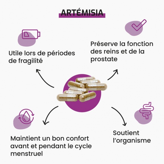 Artémisia