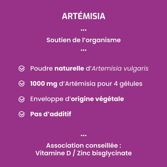 Artémisia