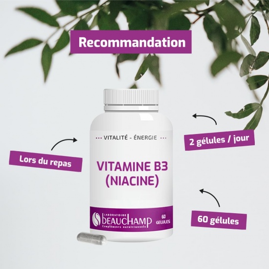 Vitamine B3 (niacine)