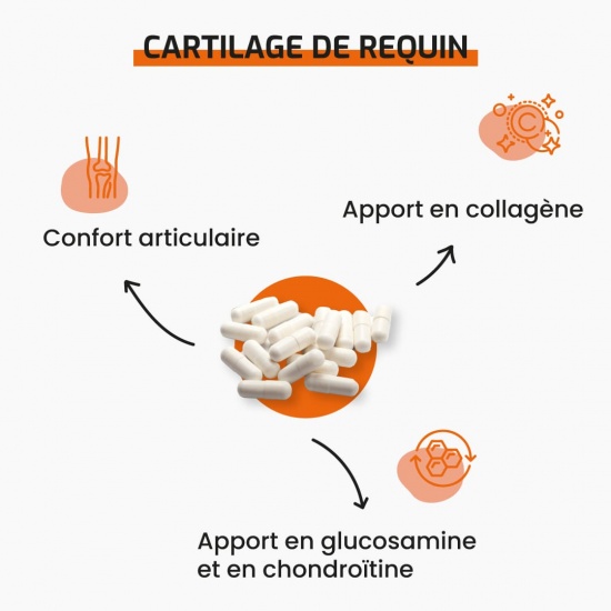 Cartilage de requin