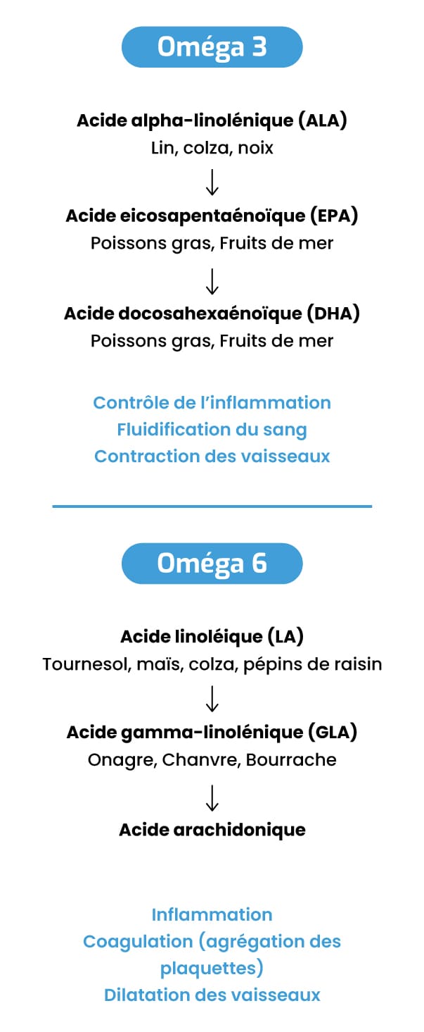 Dans les Oméga-3 nous retrouvons: Acide alpha-linolénique (ALA) qui vient du Lin, colza,                 noix, de                 l'Acide eicosapentaénoïque (EPA) provenant des Poissons gras, Fruits de mer et des Acide                 docosahexaénoïque                 (DHA) que l'on trouve aussi dans les Poissons gras, Fruits de mer. Le role notable des Oméga-3 est le                 Contrôle de l'inflamation, la Fluidification du sang ainsi que la Contraction des vaisseaux.                  Les Oméga-6 quant-à eux représentent: l'Acide alpha-linolénique (LA) que nous retrouvons dans des                 aliments                 comme Tournesol, maïs, colza, pépins de raisin. L'Acide gamma-linolénique (GLA), présent dans Onagre,                 Chanvre, Bourrache. Enfin l'Acide arachidonique. Les Oméga-6 ont pour tache de réguler:                 l'Inflammation,la                 Coagulation (agrégation des plaquettes) et la Dilatation des vaisseaux