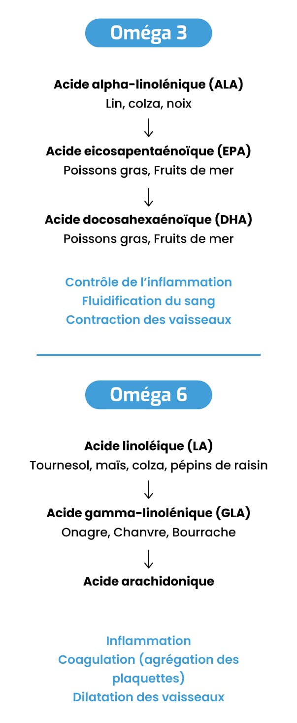 L’importance des oméga 3 pour la santé Laboratoire Beauchamp — free download