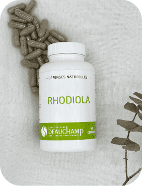 rhodiola.png