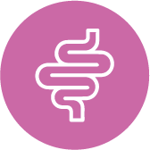 Compléments alimentaires Transit - Digestion 
