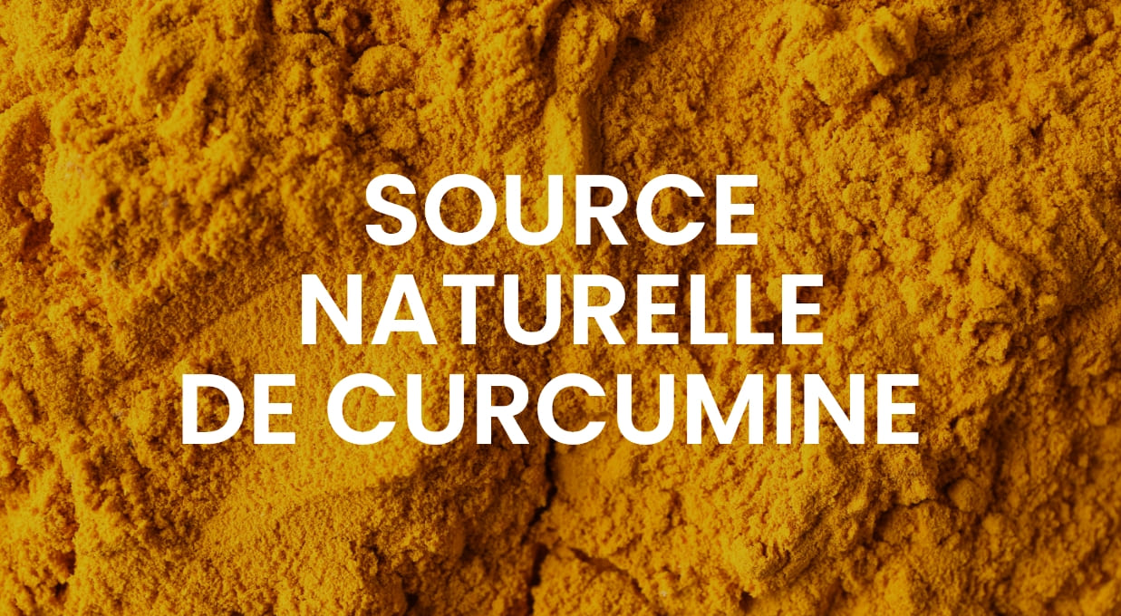 CURCUMA