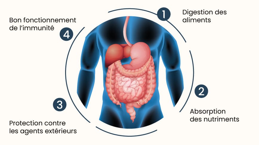 Probiotiques