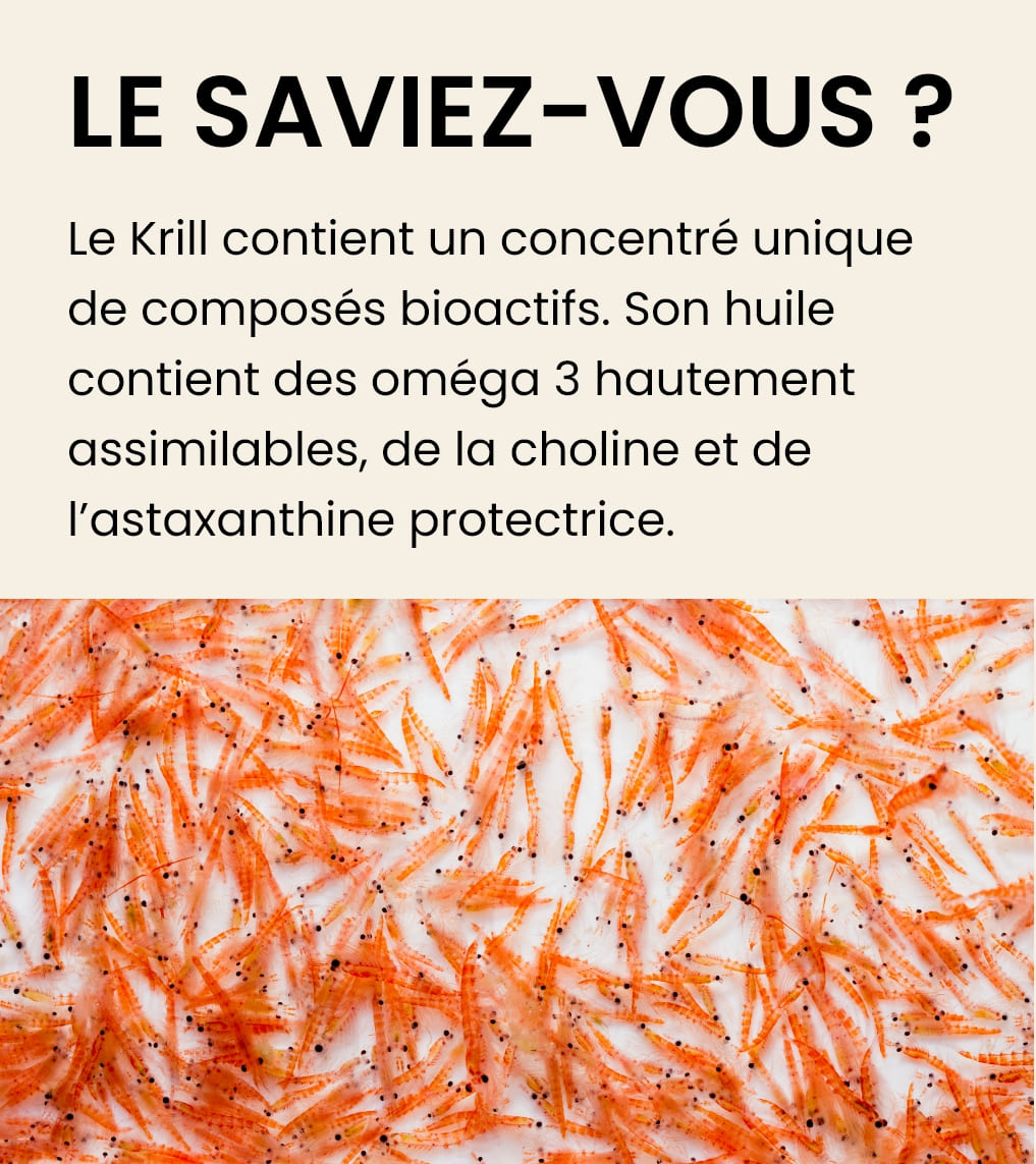 Huile de Krill