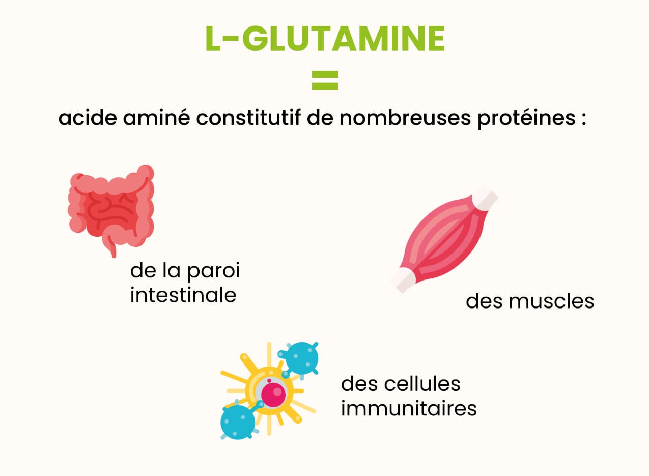 L-Glutamine