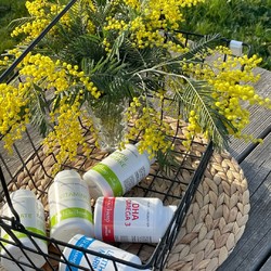 Le Laboratoire Beauchamp conçoit des solutions naturelles pour répondre aux besoins de tous 🌾

#bienetrenaturel #plantes #complémentsalimentaires