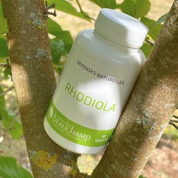 Bien se préparer avant la rentrée !

Pour calmer le stress et être en forme mentalement et physiquement, nous vous conseillons ✨RHODIOLA✨

Ses bienfaits : 
👉 Aide à s'adapter au stress émotionnel 🌱
👉 Bonne forme physique 🏃
👉 Bien-être mental 🙇‍♀️
👉 Contribue à de bonnes activités intellectuelles et cognitives 🧠

#rentréescolaire #rentrée2023 #stressdelarentrée  #rentreescolaire #stress #bienetre #bienetrephysique #bienetremental