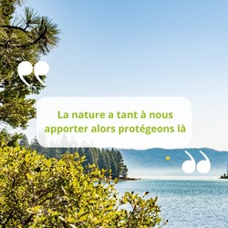 "La nature a tant à nous apporter, alors protégeons là" 🌿

#citationnature #citation #citationenvironnement